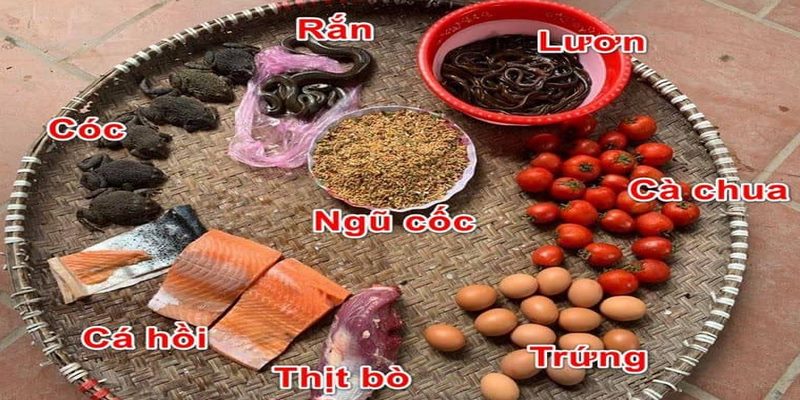 Với gà chọi trưởng thành thì phải bổ sung nhiều protein hơn