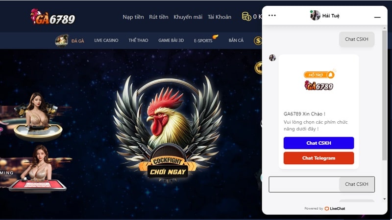 Bạn có thể chat với đội ngũ nhân viên chăm sóc khách hàng GA6789